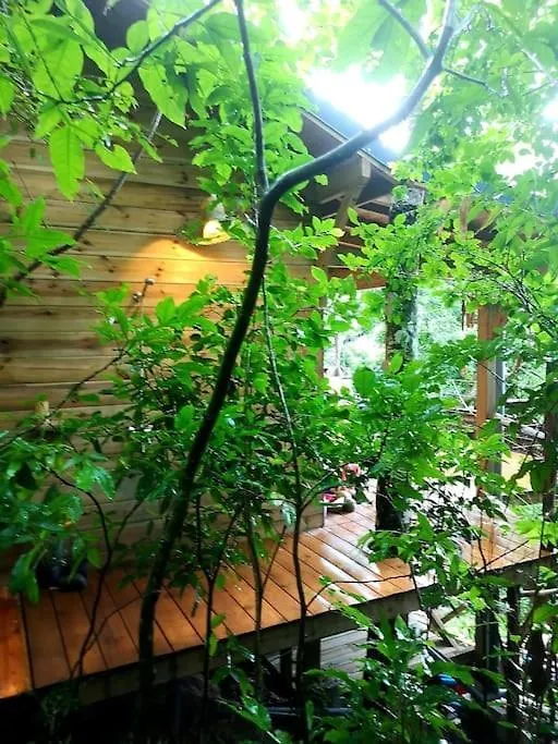 Prázdninový dům Cabane Entre Les Arbres Deshaies