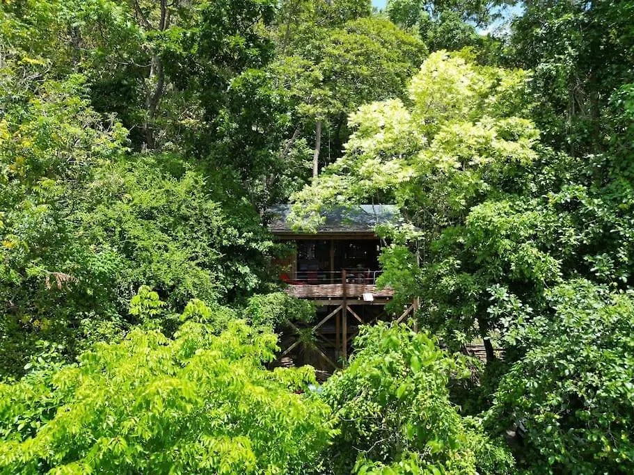 Cabane Entre Les Arbres Deshaies