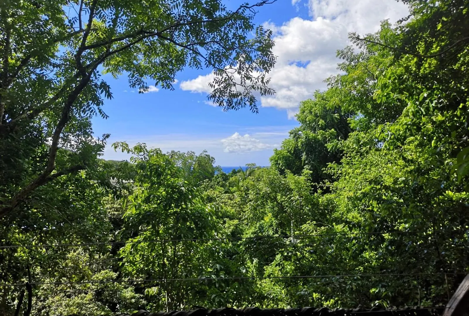 Cabane Entre Les Arbres Deshaies Guadeloupe